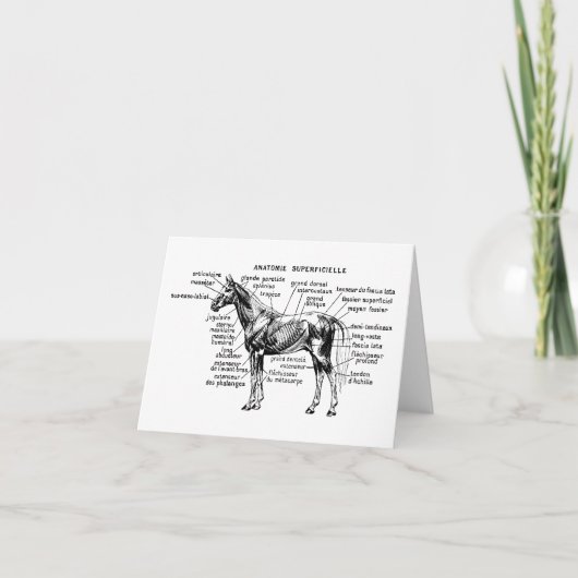 馬 カード (正面)