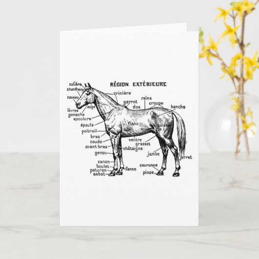 馬 カード (黄色い花)