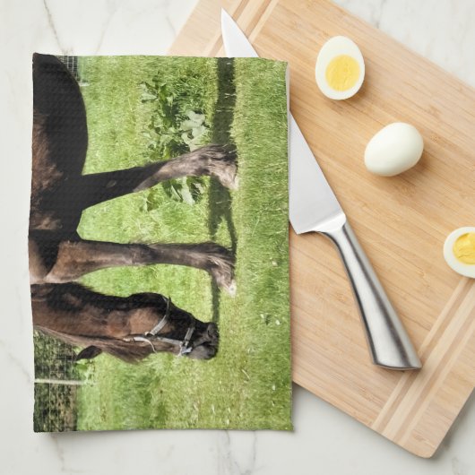 馬 キッチンタオル (四つ折り)