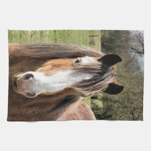 馬 キッチンタオル (横)