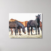 馬 キャンバスプリント (正面)