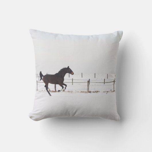 馬 クッション (正面)