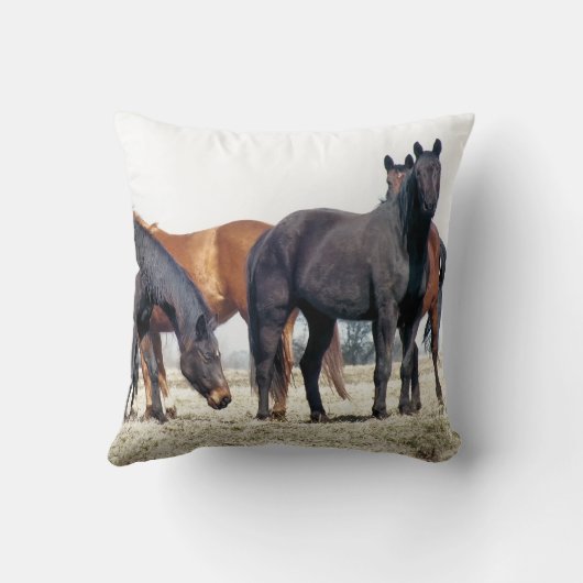 馬 クッション (裏面)