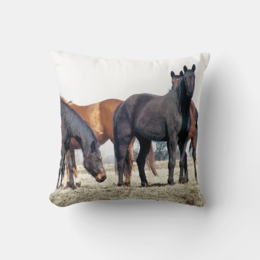 馬 クッション (正面)