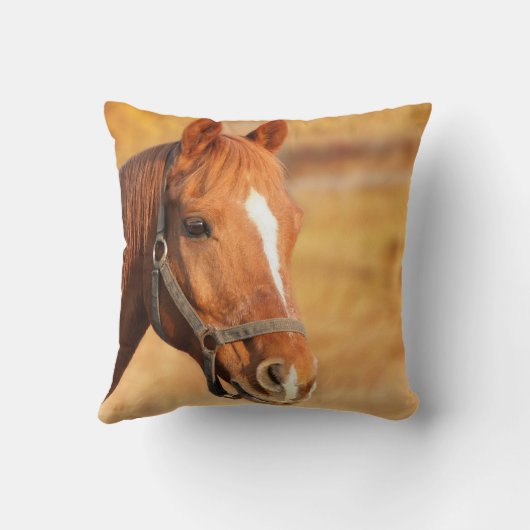 馬 クッション (裏面)