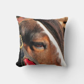 馬 クッション (正面)