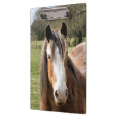 馬 クリップボード (左)