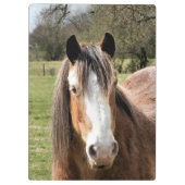 馬 クリップボード (裏面)