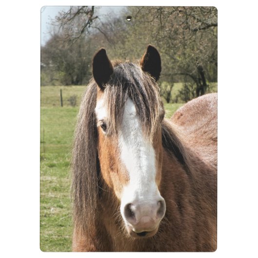 馬 クリップボード (裏面)