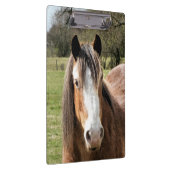 馬 クリップボード (右)