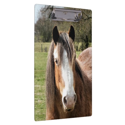 馬 クリップボード (右)