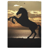 馬 クリップボード (裏面)