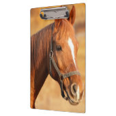 馬 クリップボード (左)