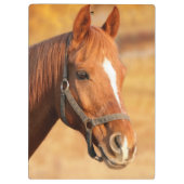 馬 クリップボード (裏面)