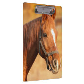 馬 クリップボード (右)