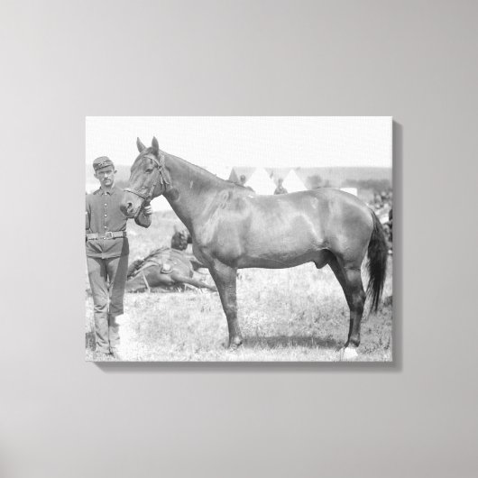 馬「コマンチ」カスターの唯一の生存者 キャンバスプリント (正面)