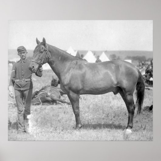 馬「コマンチ」カスターの唯一の生存者 ポスター (正面)