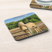 馬 コースター (左側)