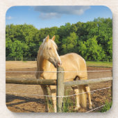 馬 コースター (正面)