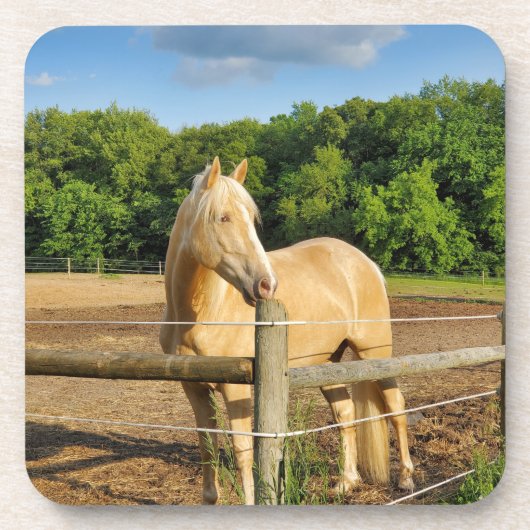 馬 コースター (正面)