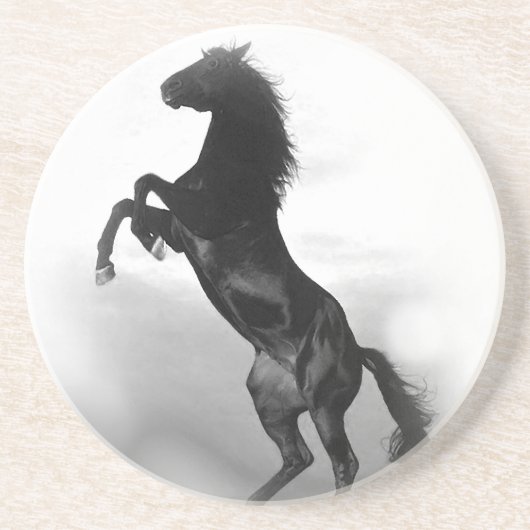 馬 コースター (正面)