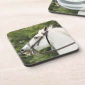 馬 コースター (左側)