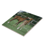 馬-サラブレッド、子馬、 タイル (側面)