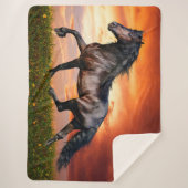 馬 シェルパブランケット (正面)