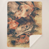 馬 シェルパブランケット (正面)