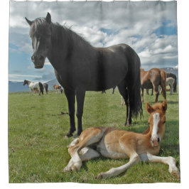 馬 シャワーカーテン