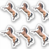 馬 シール (正面)