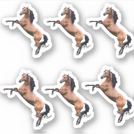 馬 シール (正面)