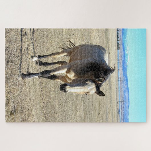 馬 ジグソーパズル (横)