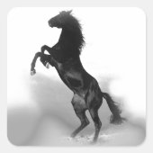 馬 スクエアシール (正面)