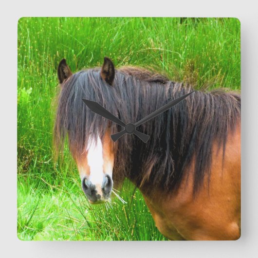 馬 スクエア壁時計 (正面)