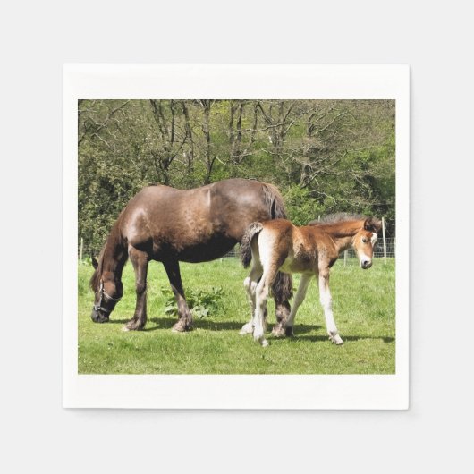 馬 スタンダードカクテルナプキン (正面)