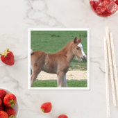 馬 スタンダードカクテルナプキン (インサイチュ)