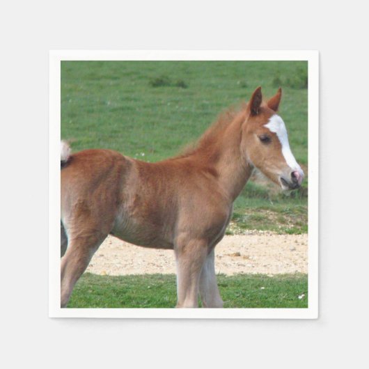 馬 スタンダードカクテルナプキン (正面)