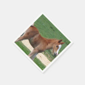 馬 スタンダードカクテルナプキン (角)