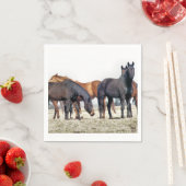 馬 スタンダードカクテルナプキン (インサイチュ)