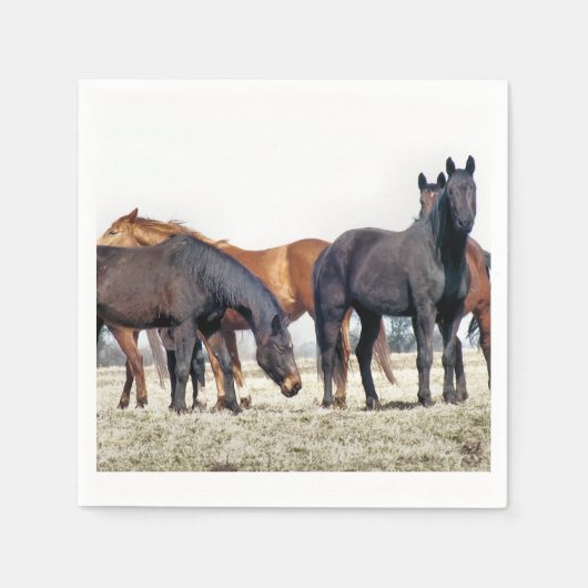 馬 スタンダードカクテルナプキン (正面)