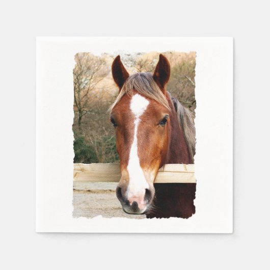馬 スタンダードカクテルナプキン (正面)