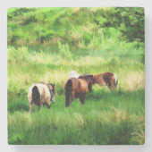 馬 ストーンコースター (正面)