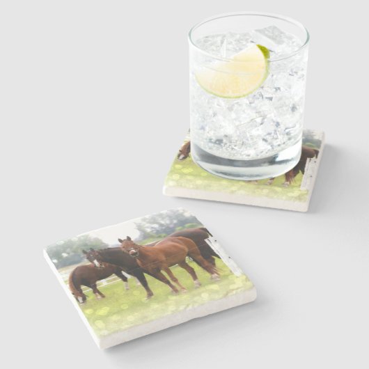 馬 ストーンコースター (横)