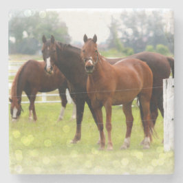 馬 ストーンコースター