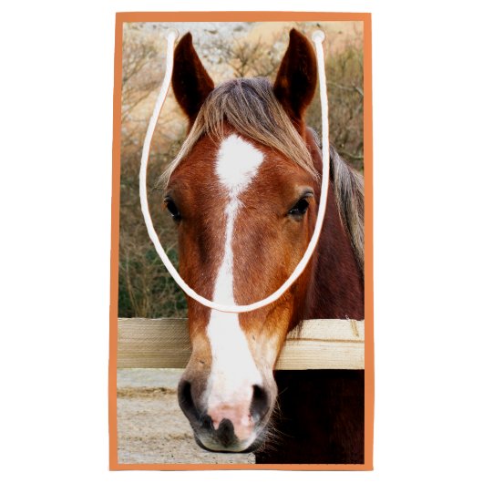 馬 スモールペーパーバッグ (正面)