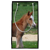 馬 スモールペーパーバッグ (正面)