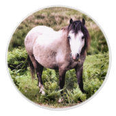 馬 セラミックノブ (正面)