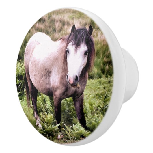 馬 セラミックノブ (右)