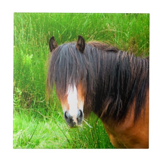 馬 タイル (正面)